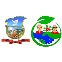 alcaldia-de-guadalupe