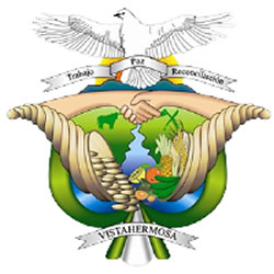 alcaldia-de-vista-hermosa