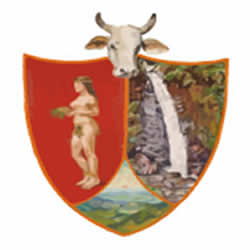 alcaldia-municipal-de-campohermoso