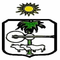 alcaldia-municipal-de-san-luis-de-gaceno