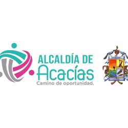 concejo-municipal-de-acacias