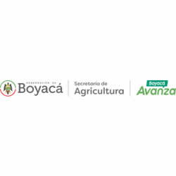 consejo-seccional-de-desarrollo-agropecuario-pesquero-y-forestal-consea