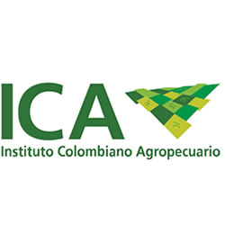 ICA	