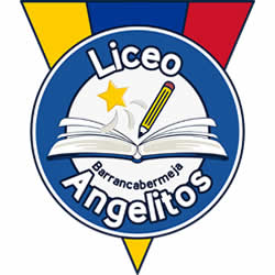 liceo-angelitos