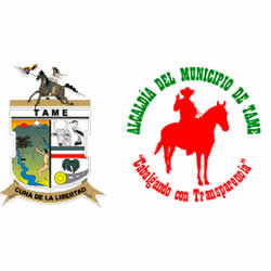municipio-de-tame