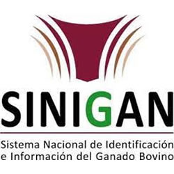SINIGAN	